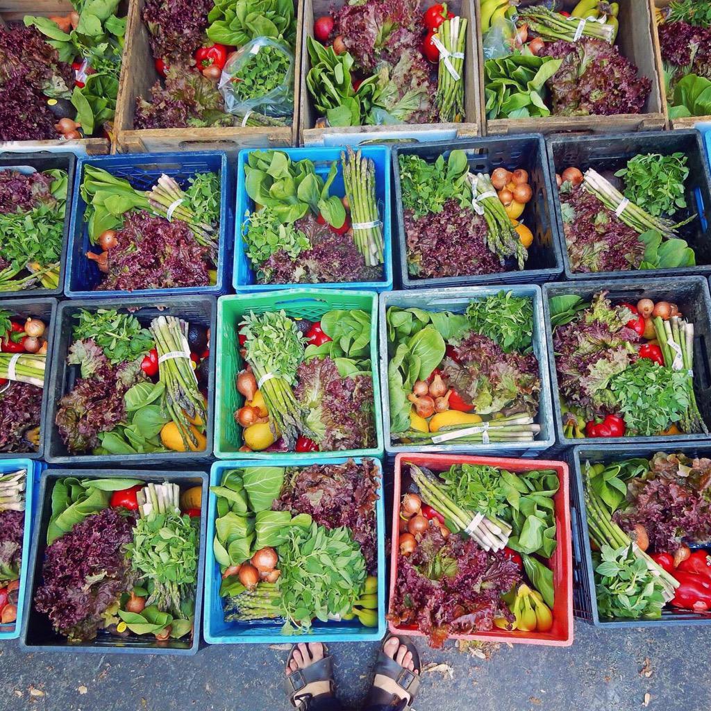 It's a beautiful day for packing at <a href="/foodboxproject/">The Food Box Project</a> &amp; we've got a bunch of new customers this week! :) #ldnont