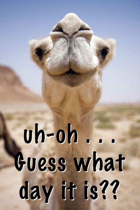 ServiceMasterW's tweet image. Keep calm everyone! The weekend is almost here!