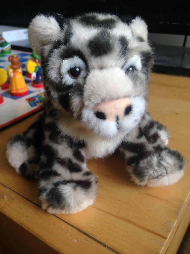 teamcatdotnet's tweet image. @JamieKnight Snow Leopard wants to say hello to Lion, can you pass on the message? meow x