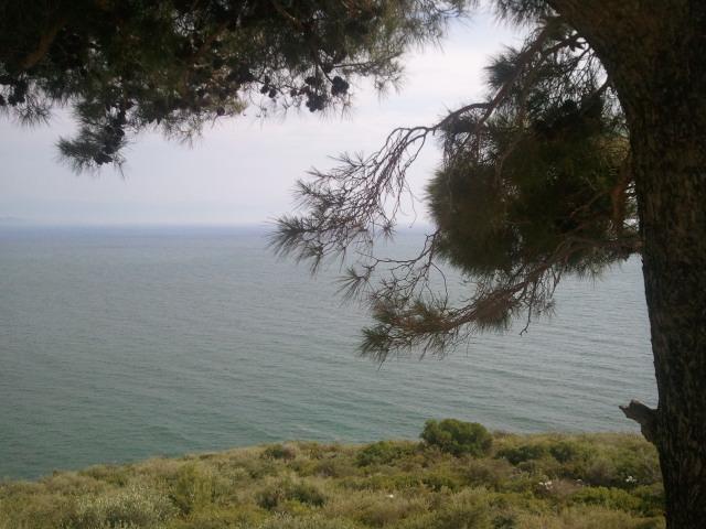 Bir tatlı huzur almaya geldik:))