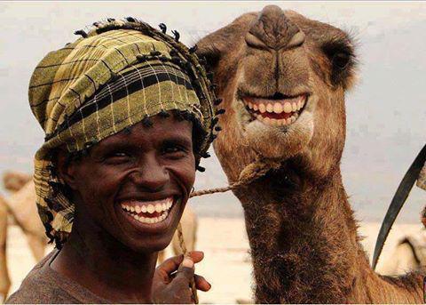 Guess what DAY it is. Yeap..is Wednesday.