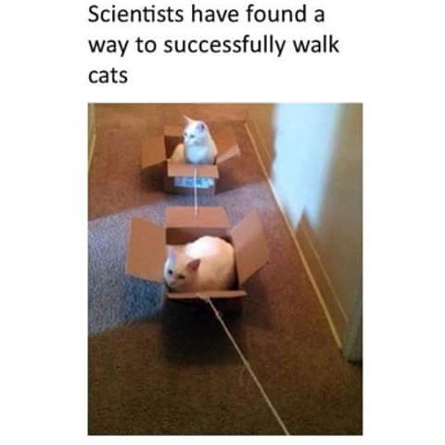 defaultgravity's tweet image. 