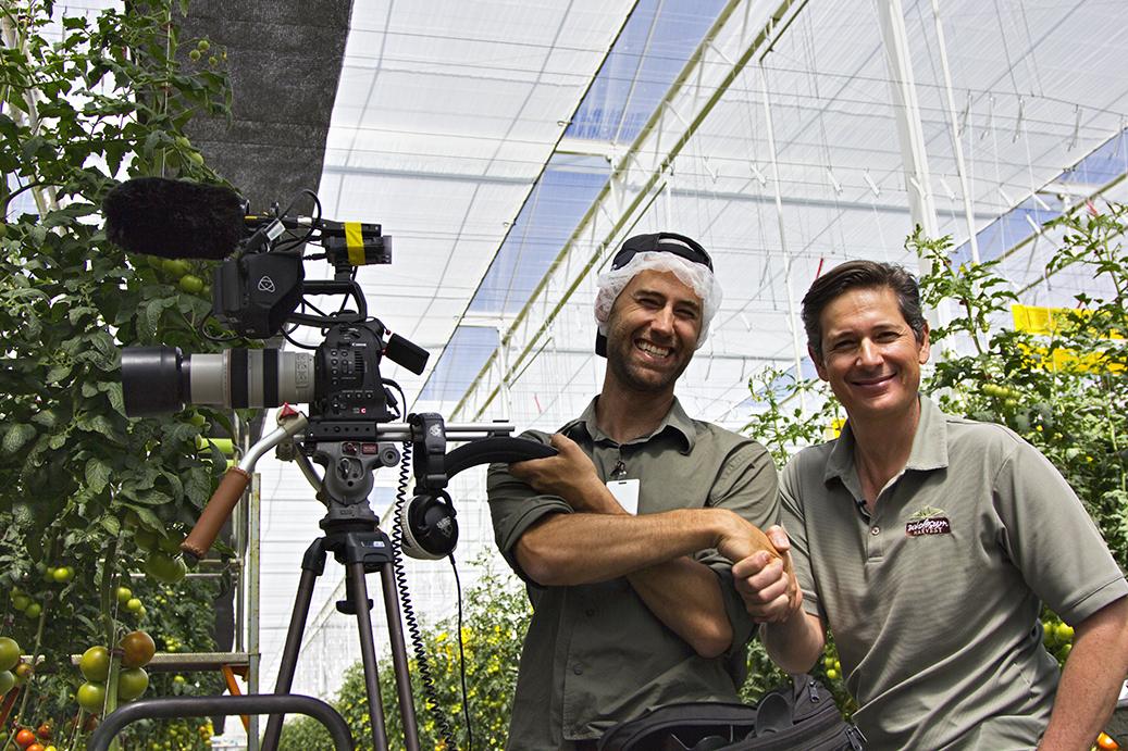 BeyondTheMirage's tweet image. Veggies grown with 1/10 the water @WholesumHarvest look good even with a hair net! @AMWUA @azwater @UACALS