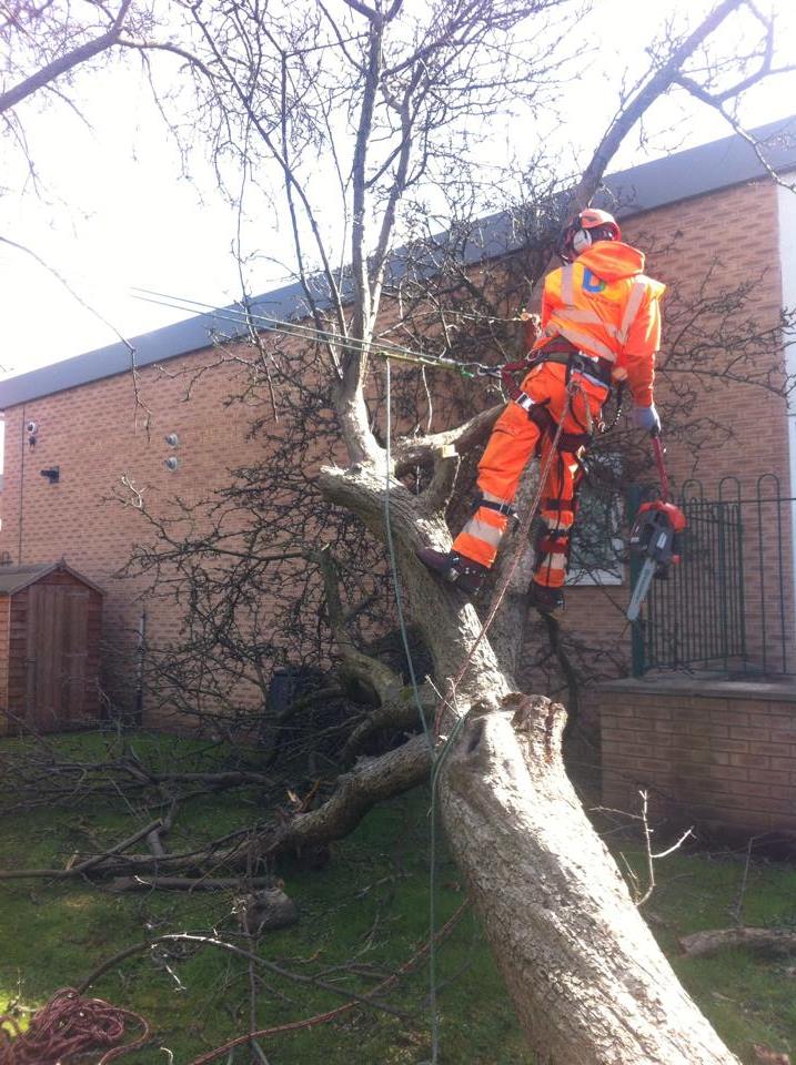 Treeservices96's tweet photo. Emergency call out for the NHS in Manchester! http://t.co/LLzXatrUpf