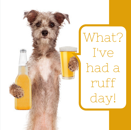 thedocsinn's tweet photo. Are you having one of those days? http://t.co/kUVQDSQoKv