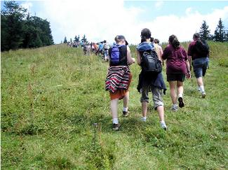 123MYMD's tweet image. Walking in Circles 123mymdblog.com/2015/06/03/wal…