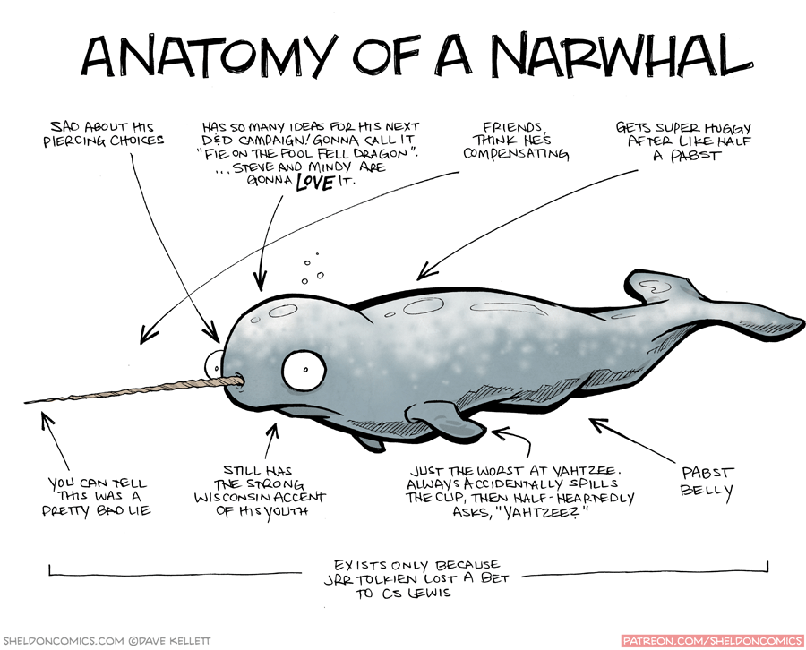 Narwhal Anatomy - Anatomy Diagram Book