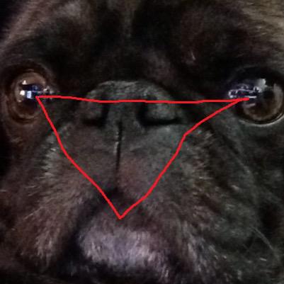 Razer's tweet image. @pewdiepie @Kwebbelkop how could we be so blind?