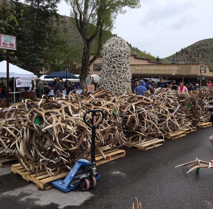 Si los vende todos tiene la vida mas que ganada. 
Que pasada...