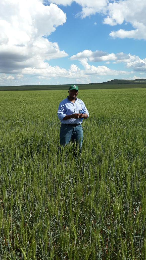 Omry Karplus (@okarplus) on Twitter photo 