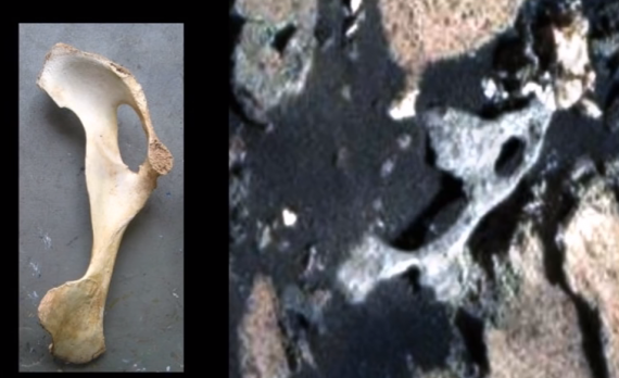 One Step Closer to Skeleton on Mars as Hip Bone is Found - mysteriousuniverse.org/2015/06/one-st…