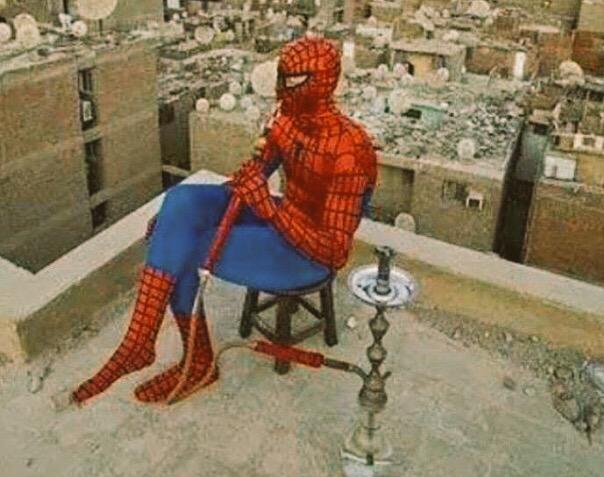 Anderson Spider ENG tweet media