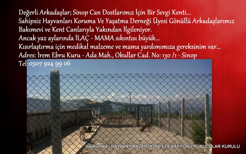 Sinop Canları İçin Kısırlaştırmada kullanılacak medikal malzeme ve mamaya gereksinim var...