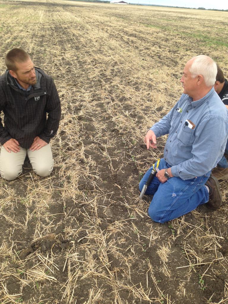 MissCathcart3's tweet photo. Checking out L252 with @TrentKoscielny and Jim from GSix farms. Survived the frost and looking good 👍 http://t.co/N0STiT5tn4