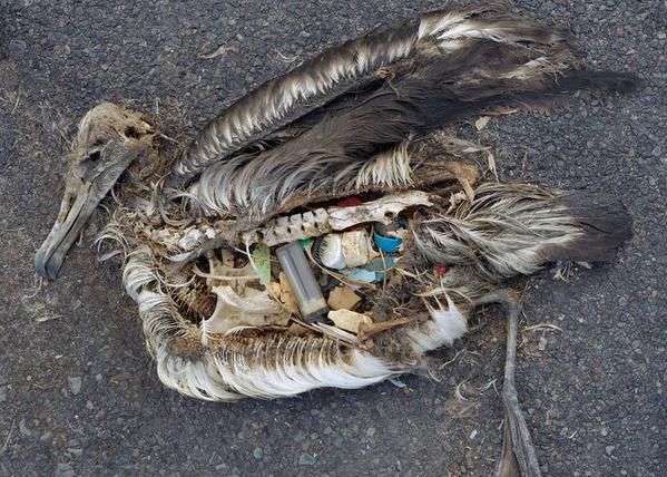 babtouchevelu's tweet image. - t'as un feu stp ? 
- vas y cherche c le bordel