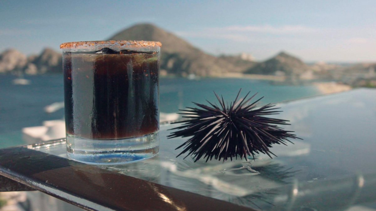 “Just wait until the peyote kicks in. It’s awesome.” #BrewDogs