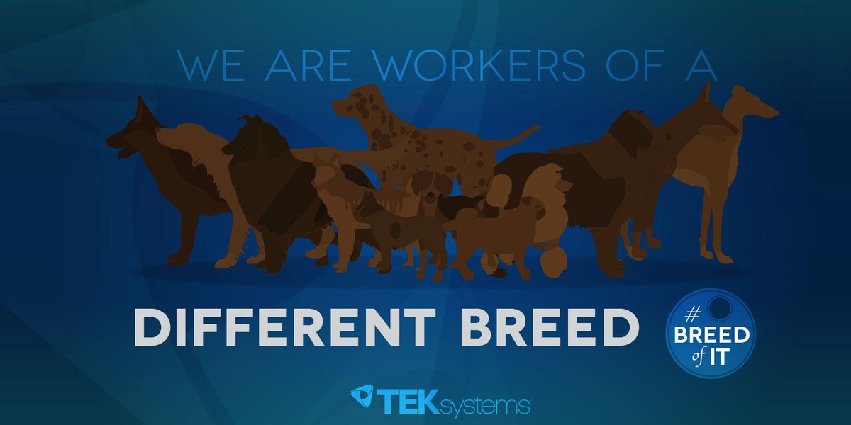 RT <a href="/TEKsystems/">TEKsystems</a> #IT Workers are a breed of their own. Discover your #BreedofIT. - sot.ag/3XcQs