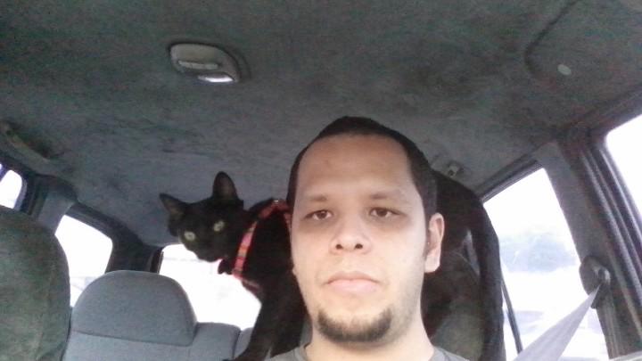 _carloselias15's tweet image. A donde me llevas humano? #catproblem