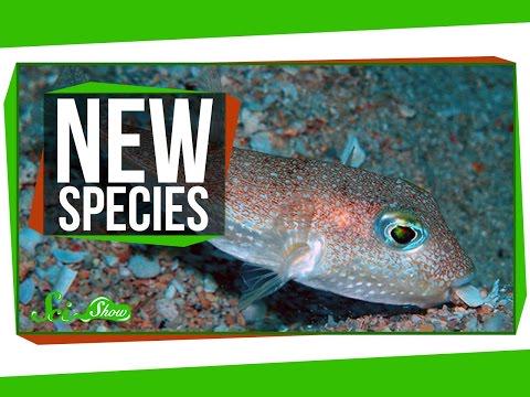 A Song of Ice and New Species vid.staged.com/Jq9p #staged