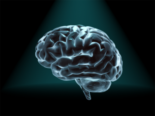 High levels of moral reasoning correspond with increased gray matter in brain bit.ly/1Ka8MmT