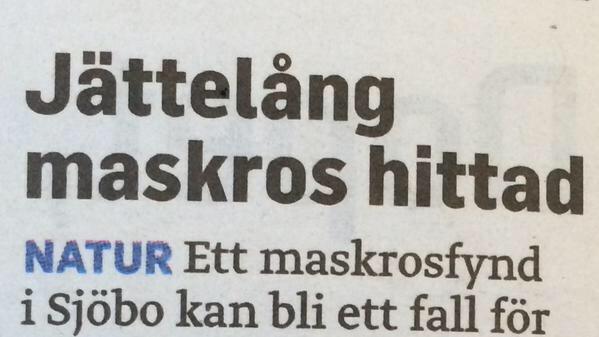 Lägg ut! Lägg UT! LÄGG UT!!!
