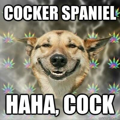 Chels Mulock-Bentley (@captainchels) on Twitter photo 