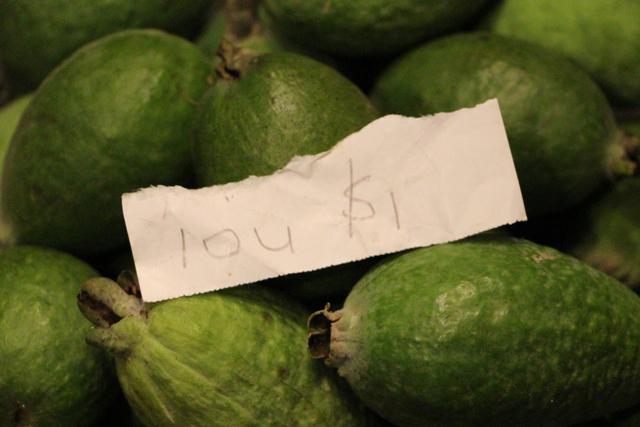 NZlookinggood's tweet photo. We got an IOU in our feijoa honesty box today. Sweet! http://t.co/DIJndzV4Hy