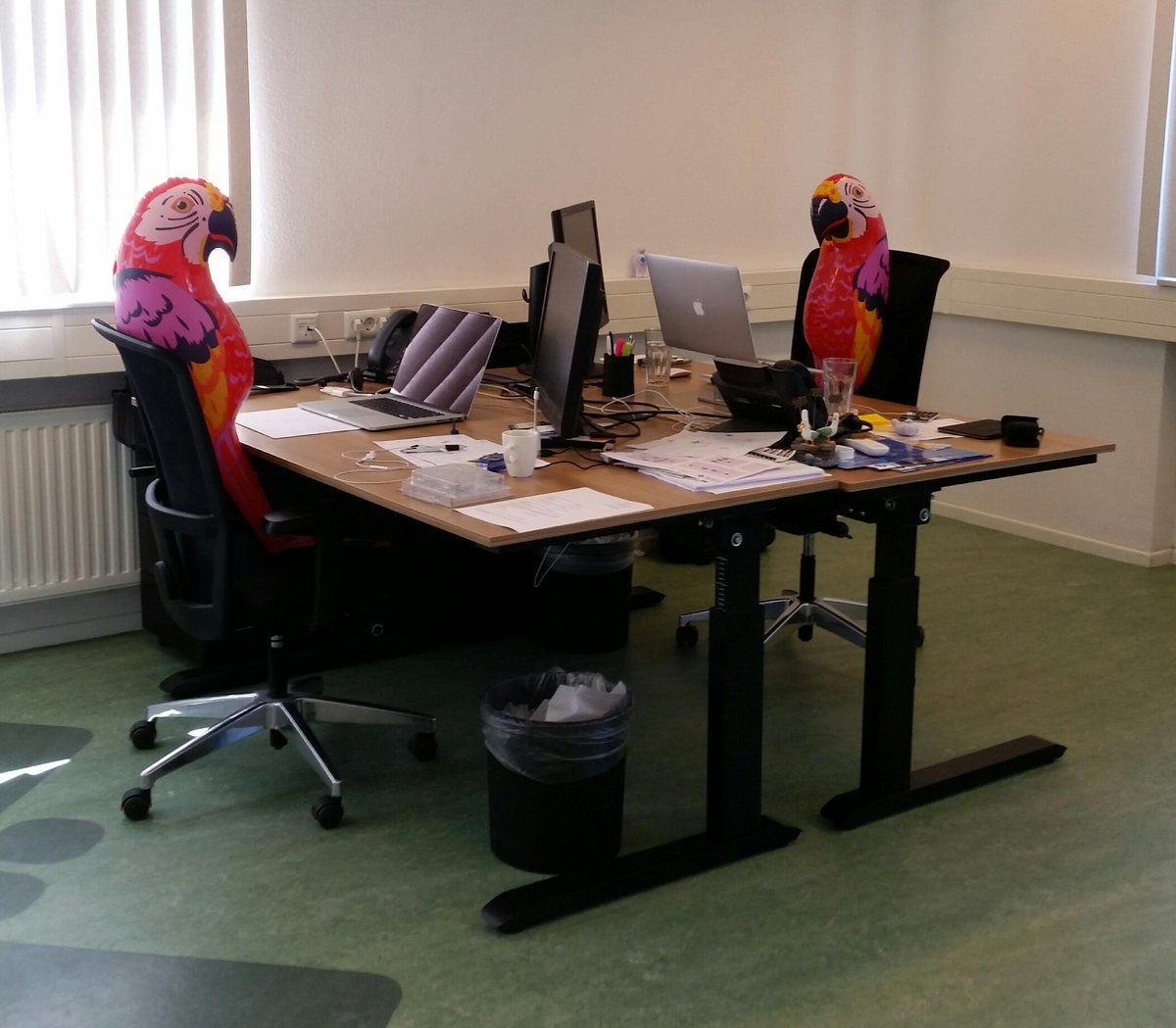 iunxieu's tweet photo. Ondertussen op iunxi HQ: de directie is druk aan het overleggen over ons jubileumfeest. http://t.co/3Bb4Npl3sf