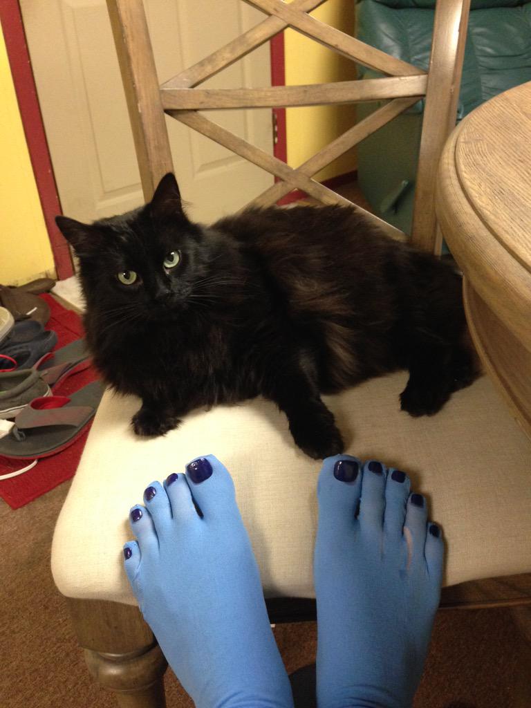 pachywack's tweet photo. daddy's lil helper http://t.co/74OFF9dkDG