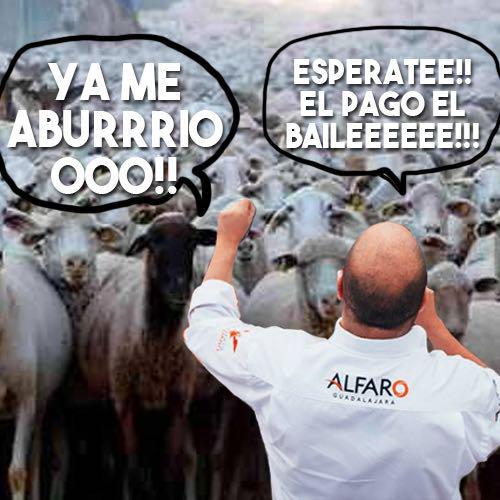gzz1986's tweet photo. No es novedad los de @MovCiudadanoJal acarreando gente para @EnriqueAlfaroR @SoloDigamos @Notisistema http://t.co/Py0GHvsy4B