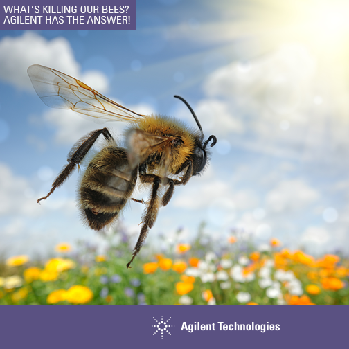 AgilentChem's tweet photo. What's killing our bees? http://t.co/eD3ne7xBEG #GCMS #bioanalyzer #QPCR http://t.co/ETnHM8tUY6