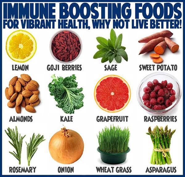 DailyHealthTips's tweet photo. #Immunity boosting foods for vibrant health..

#HealthTips #EbixAdam #HealthyEats http://t.co/ZJIVd51qxT