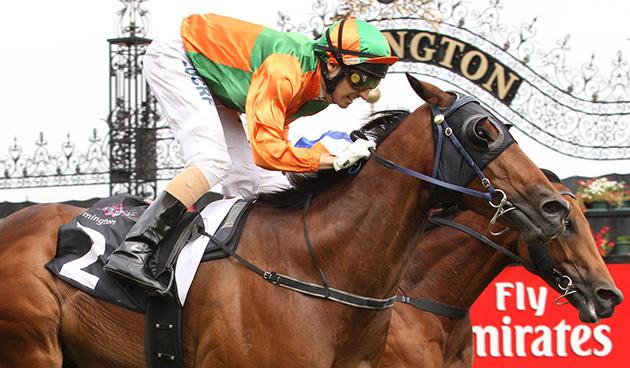 Racing's tweet photo. The target for @RickyMaund's Golden Topaz runner couldn't be clearer. http://t.co/zykfm738Y2 http://t.co/anPdJQkcNf