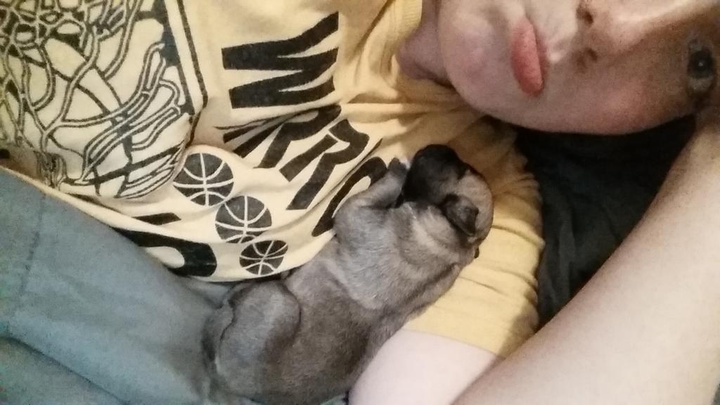 brianneSpedoske's tweet photo. Awwww beebs can I take ye home &amp; cuddle ya all night long? 😍🐶 http://t.co/6tjwmLr6db