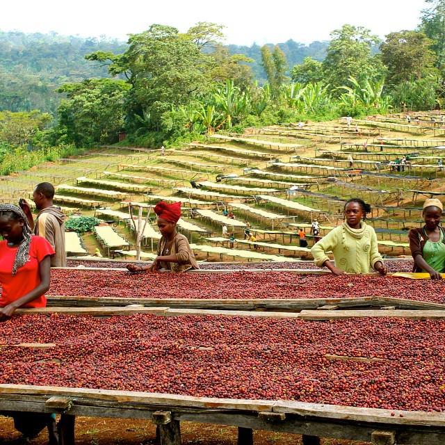 Let's not overlook the enormous effort it takes to produce sustainably sourced, specialty … ift.tt/1dfYg0a