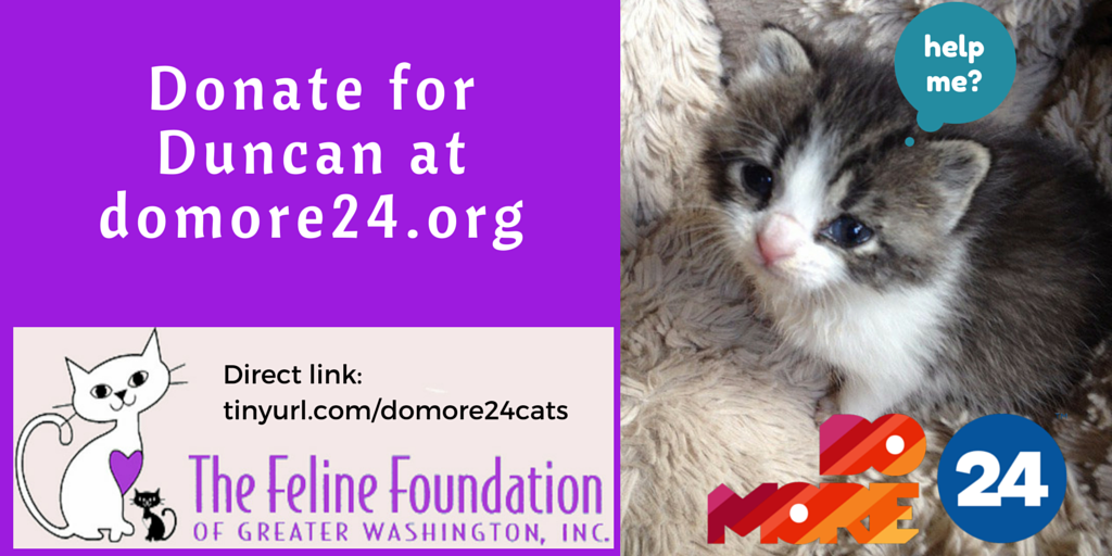 omdirect's tweet photo. It's time! #DoMore24 starts NOW. Duncan was  bottle fed by FFGW. Donate in his honor?http://t.co/W3PefTA3Vb http://t.co/EGYBGNdweg