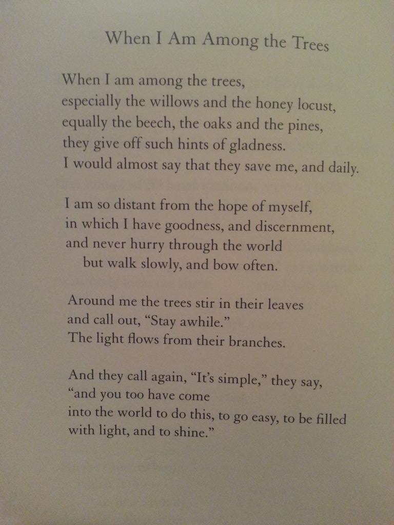 Rowena M. on Twitter: "Mary Oliver- "When I Am Among Trees ...