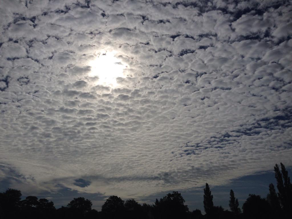 RyderMum's tweet image. Absolutely loving the #cottonwool clouds #lovinleeds