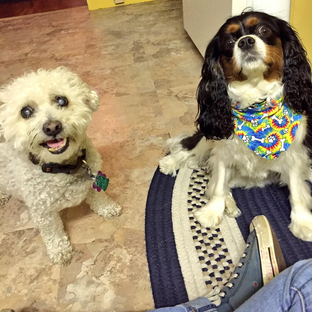alec1trick's tweet photo. my crew #ThugLife #SquadDog http://t.co/JAr6PjT0YL