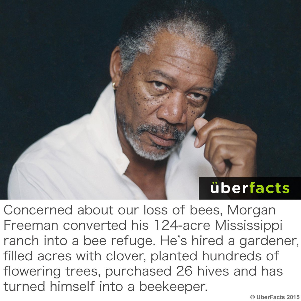 UberFacts's tweet photo. "Morgan Beeman" http://t.co/22oI7sWumG