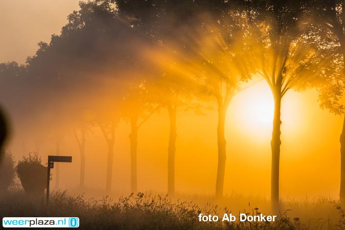 Weerplaza's tweet photo. Zonnebril mee en genieten! Geen wolkje aan de hemel, alleen #zon. 19--23gr. Morgen 28-32gr. http://t.co/nLm12EN1lR http://t.co/j1iz5Iab9b