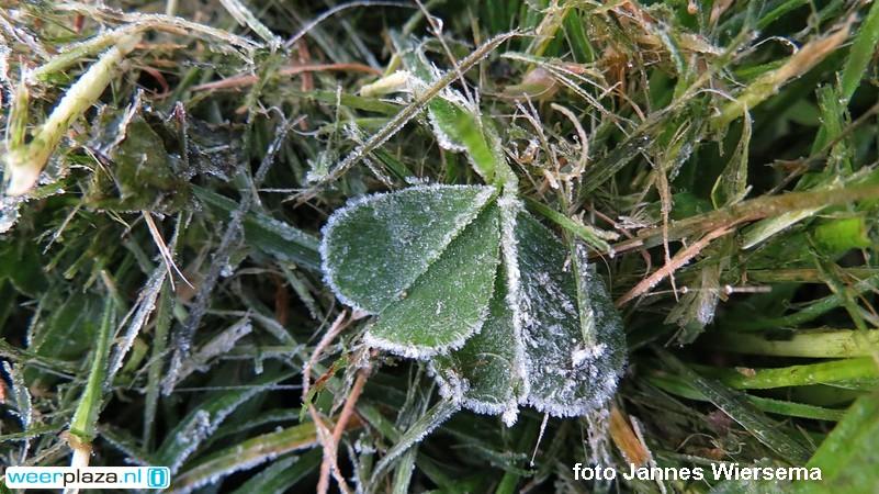 Weerplaza's tweet photo. Zonnebril mee en genieten! Geen wolkje aan de hemel, alleen #zon. 19--23gr. Morgen 28-32gr. http://t.co/nLm12EN1lR http://t.co/j1iz5Iab9b