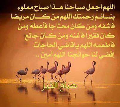 iaz07977's tweet photo. http://t.co/xIbJ6Wyx6Q