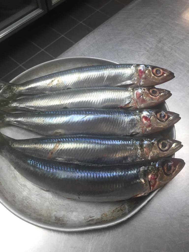 Temporada tweet media