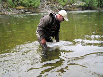 QuebecSporting's tweet image. York River Gaspé, Québec.. 
#June2 #flyfishing #guides #quebecsporting #sage #simms