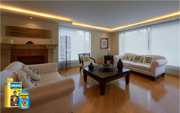Apne paise #PaaniKiTarahMatBahao, Terminator lagao aur apne #furniture ko deemak se bachao. http://t.co/6SImuwhPar