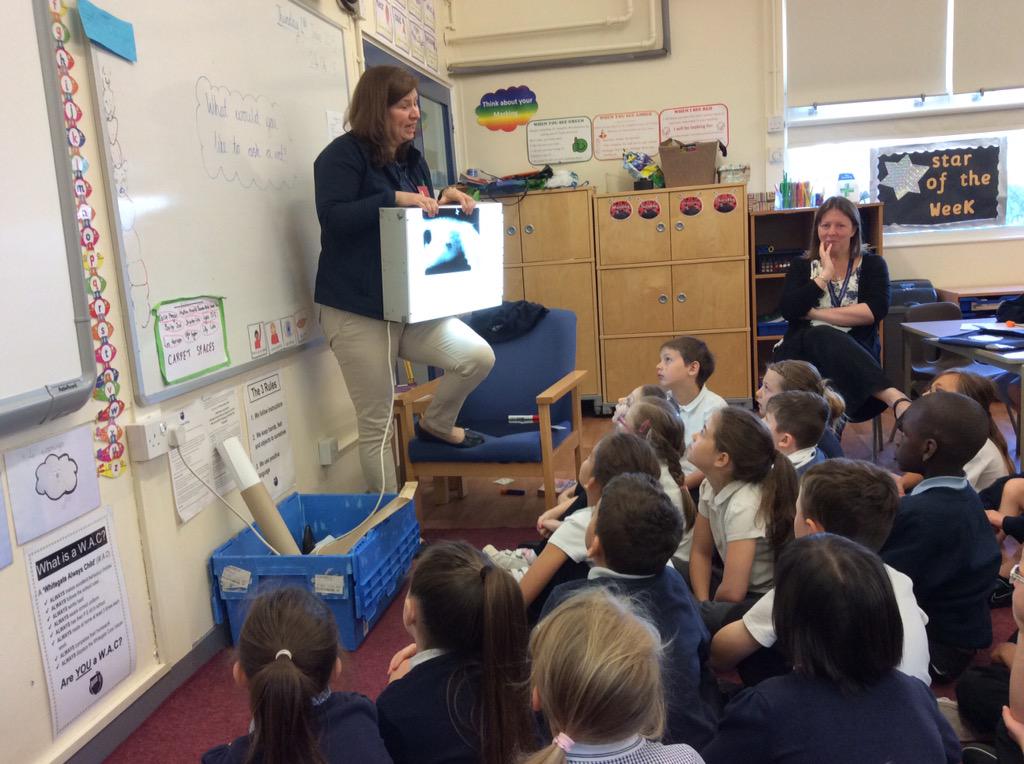 Year 2 tweet media