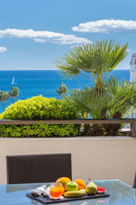 Hôtel Gray d'Albion  tweet media