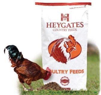 Gilberts Equestrian tweet media