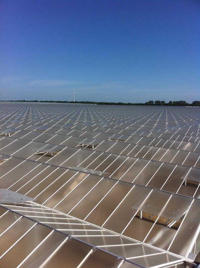 Havecon Horticultural Projects tweet media